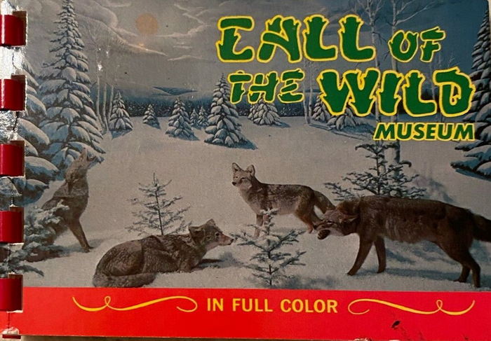 Call of the Wild - Old Mini Book